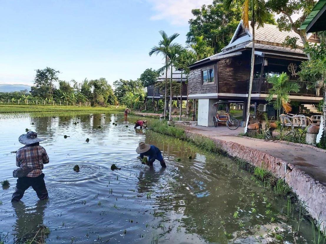 Bantunglom Resort Mae Rim Exterior photo